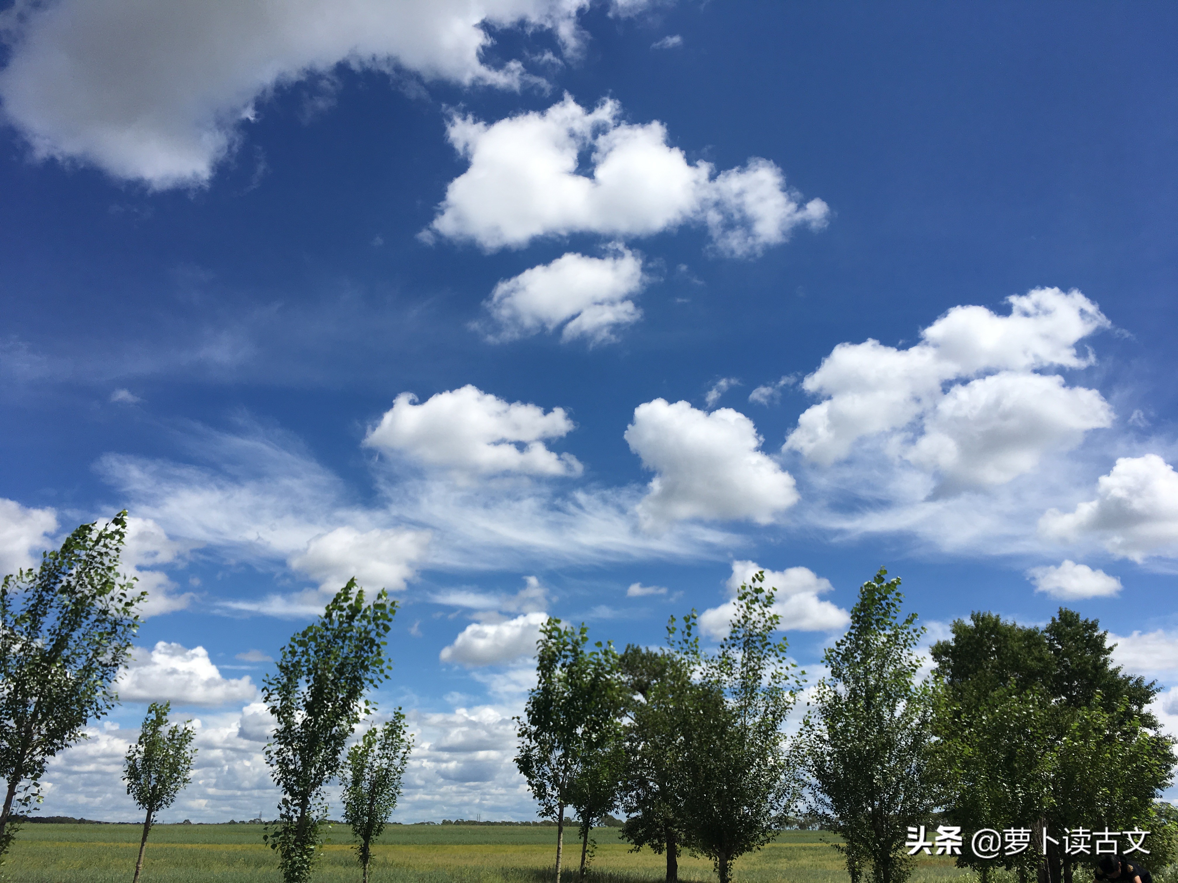 《道德经》第五十五章意识的形成,道德经新解第五十五章