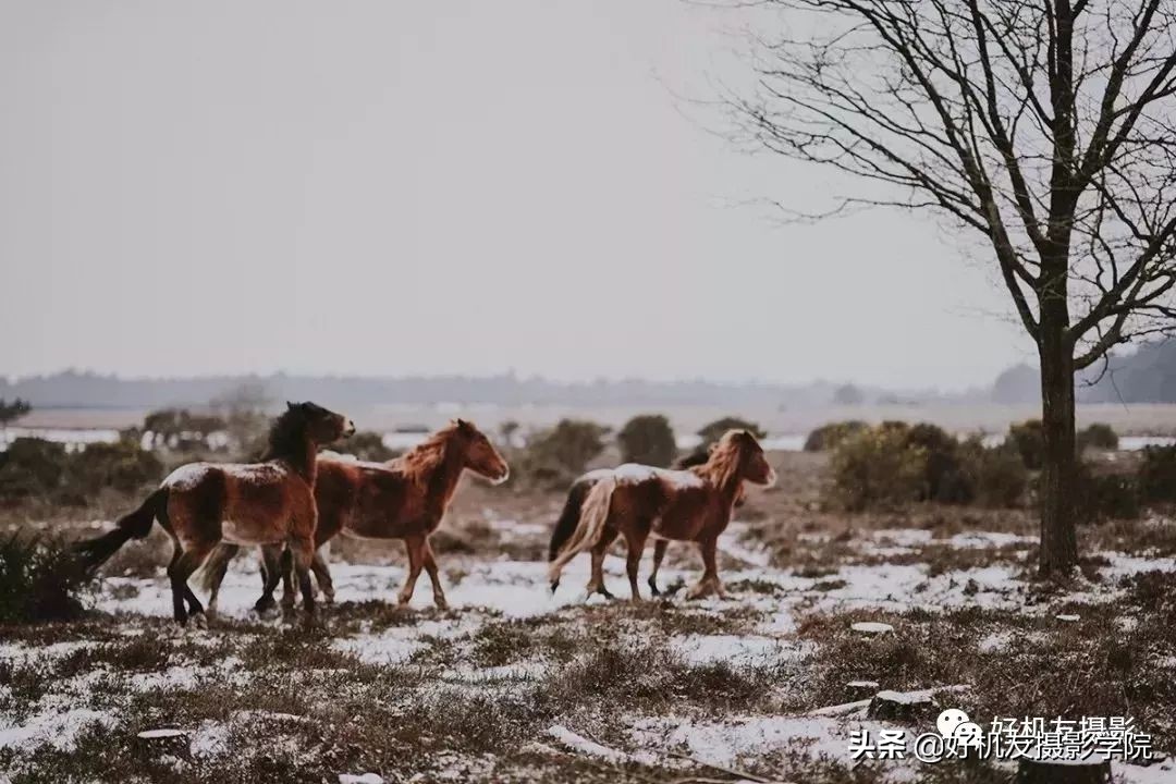 iso越低画面越亮还是暗,iso越低越好吗