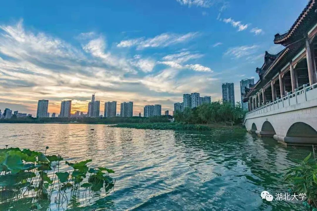 2023年考研报考人数继续飙升,考研关注