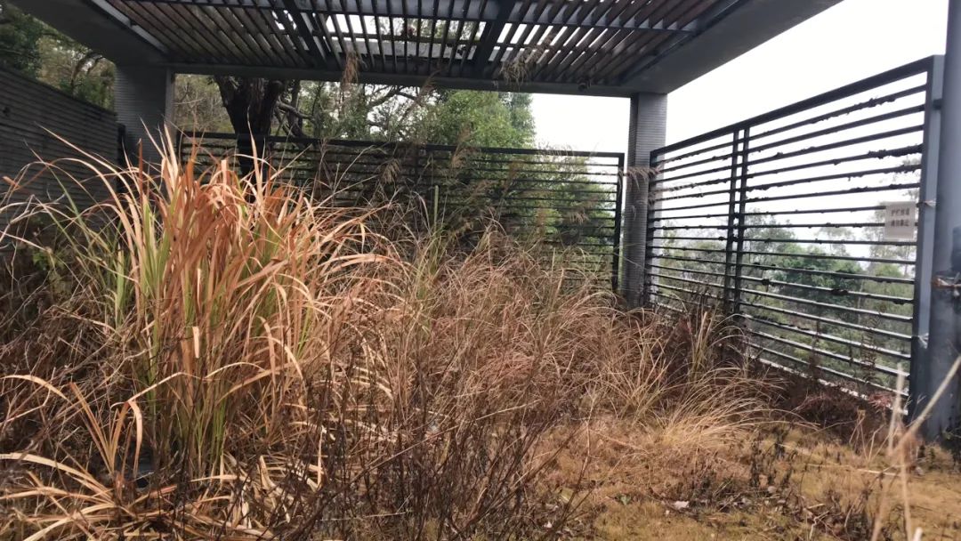 娣卞湷澶╅簱澶辫触妗堜緥,娣卞湷澶╅簱鍒娴佹媿