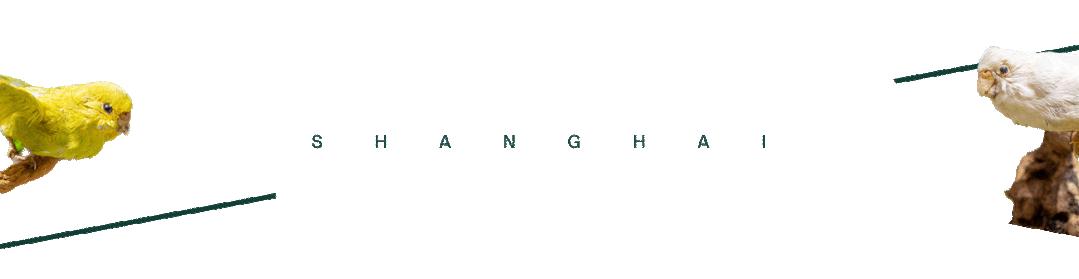 时髦精都在逛的hAomArket好市,一站式承包你的冬日小众好物