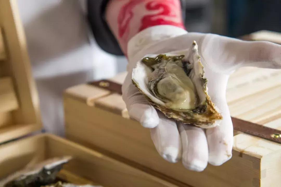 帝王蟹自助在哪里吃比较好,帝王蟹随便吃后续