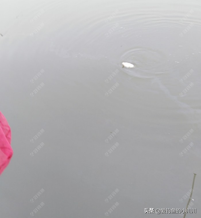 聊下找口与抓口的问题个人见解