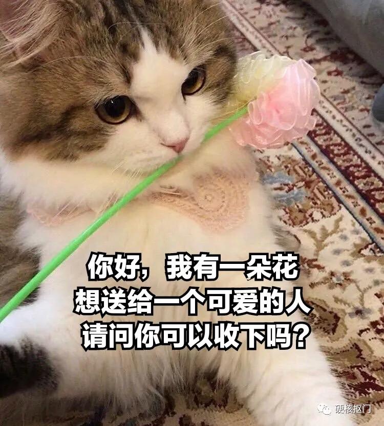 七夕礼物送男友推荐实用,七夕送什么礼物给男友比较好