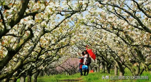 嗨！重新认识一下，我叫建宁！进来为我投票吧！