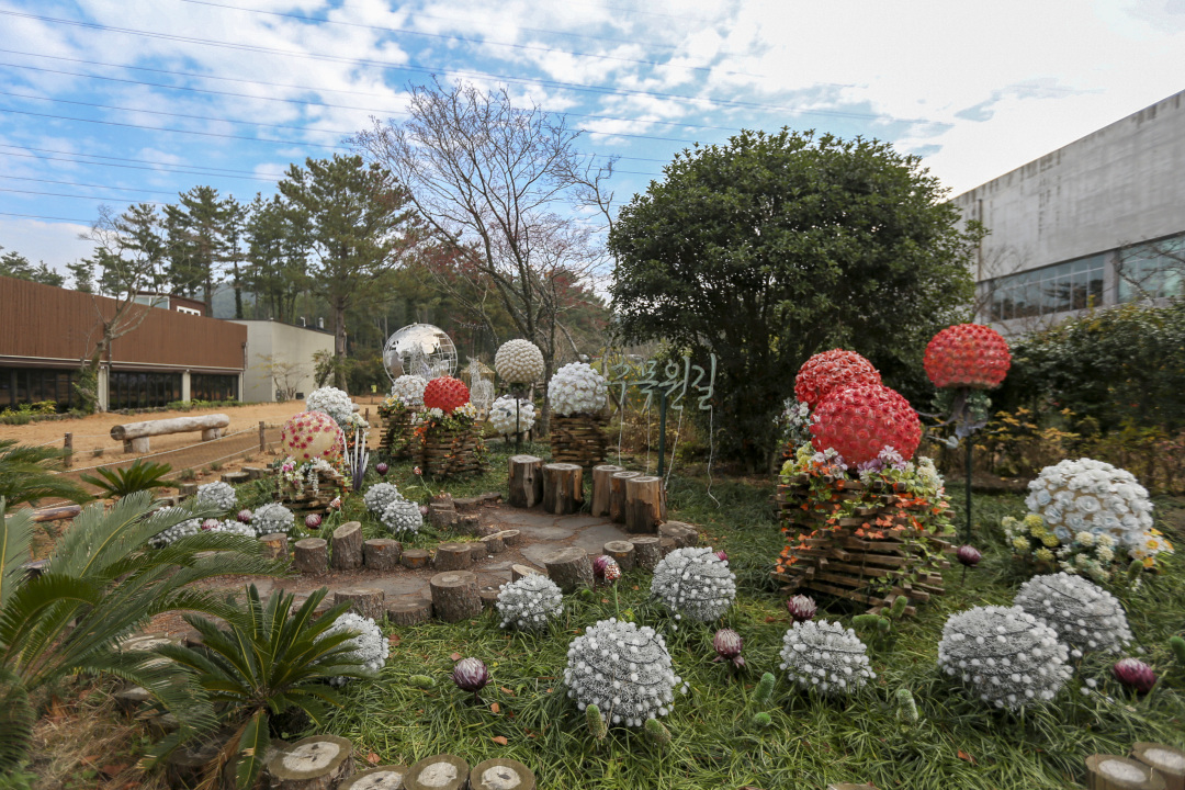 济州岛四天三晚旅游攻略,济州岛四天三晚旅游攻略图