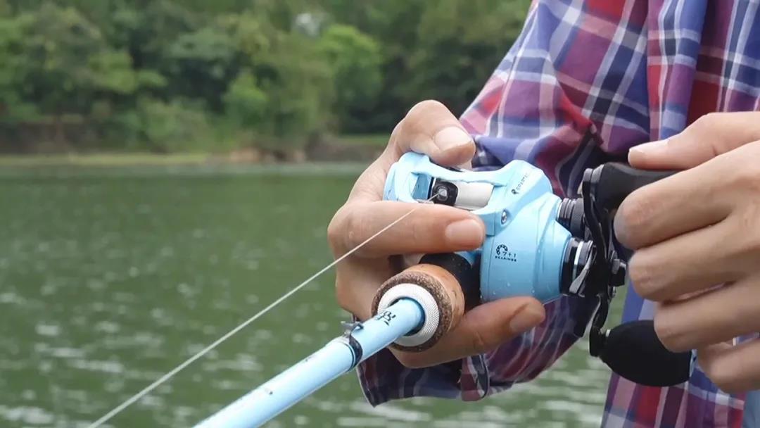 路亚黑鱼注意事项和禁忌,路亚钓黑鱼假饵青蛙使用视频教程