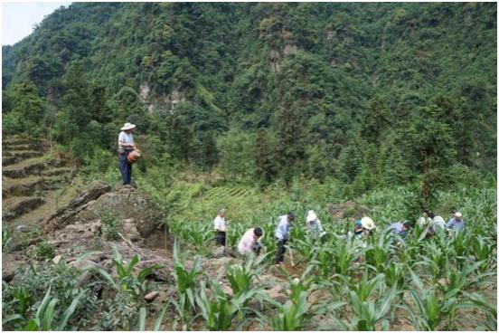 东楼诗歌典故,东楼诗词