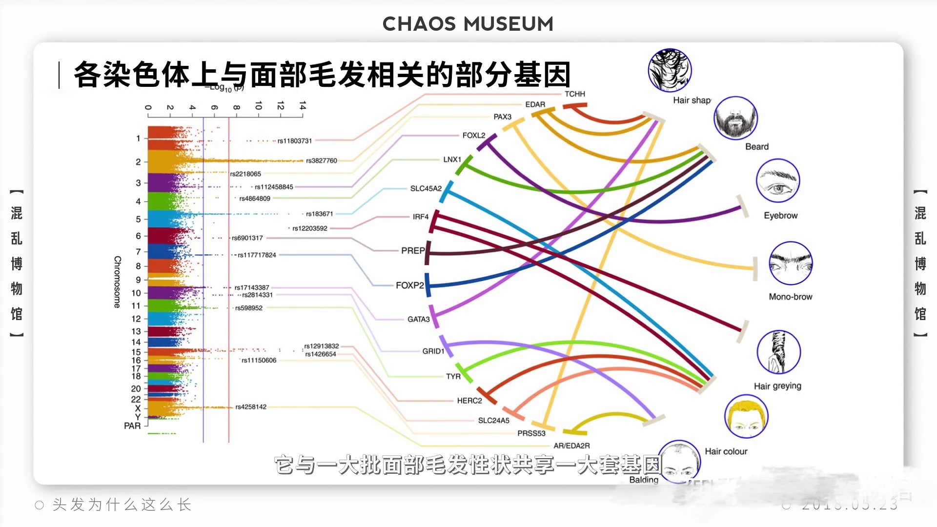 人体的毛发有什么医学意义吗,身体下面的毛发什么作用