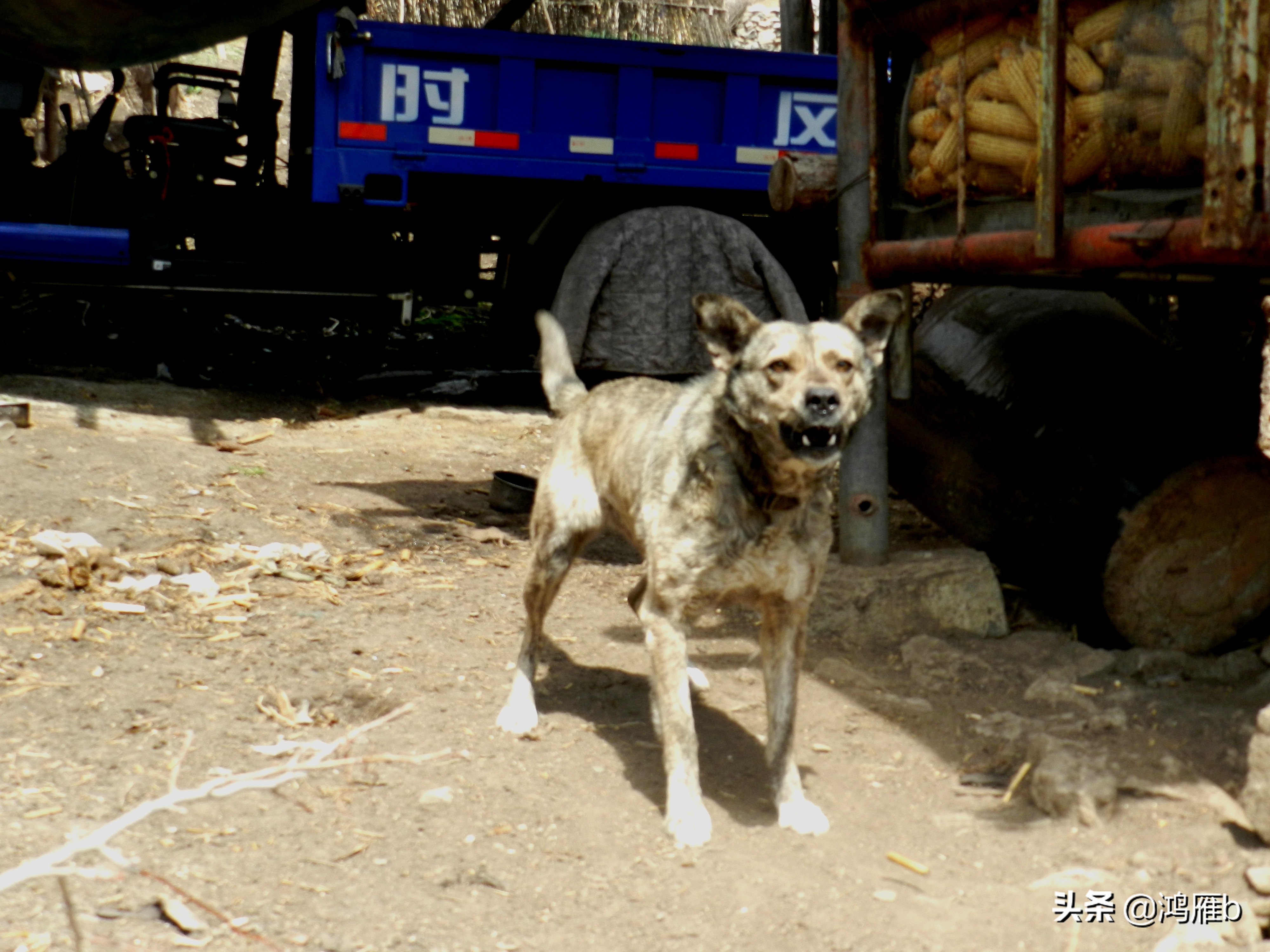 本溪小众秘境,本溪神秘山村