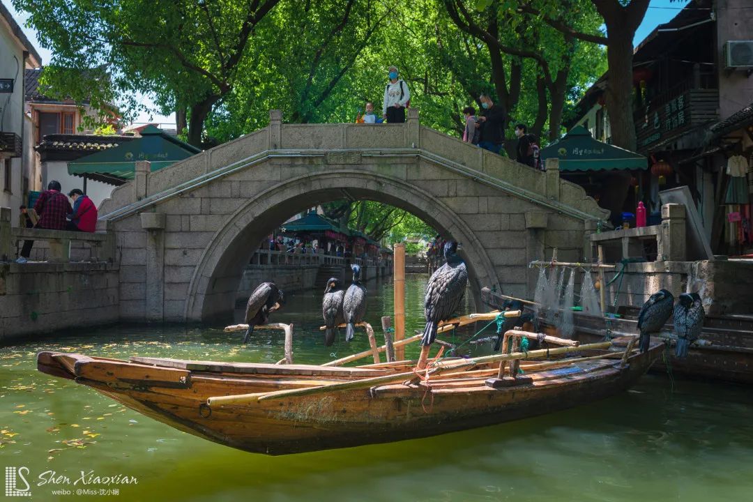 江南六大古镇同里,江南幸福楼同里古镇