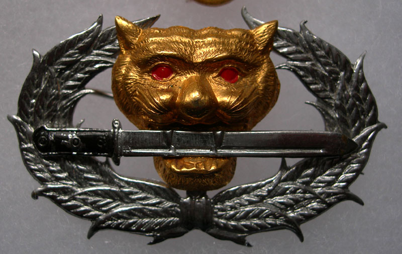 泰国皇家*队军**徽章很有特色，王冠标志象征王权，巴育都不敢不戴