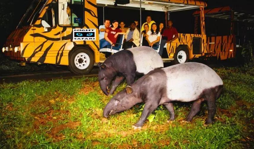 新加坡全岛旅游攻略,新加坡周边哪个岛好玩的地方推荐