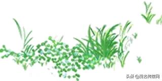 梦想之战踢球吧阿妹免费观看,梦想之战踢球吧阿妹完整版