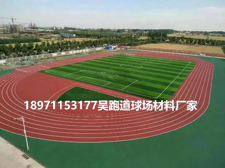 拉萨人造草坪,拉萨人造草坪多少钱一平