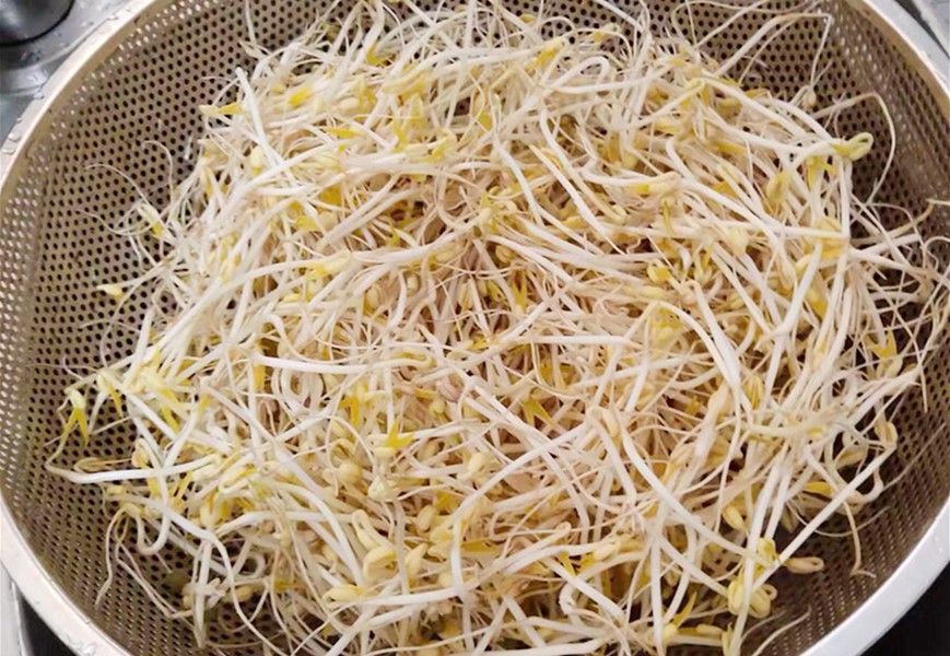 想吃豆芽自己生,想吃豆芽自己动手