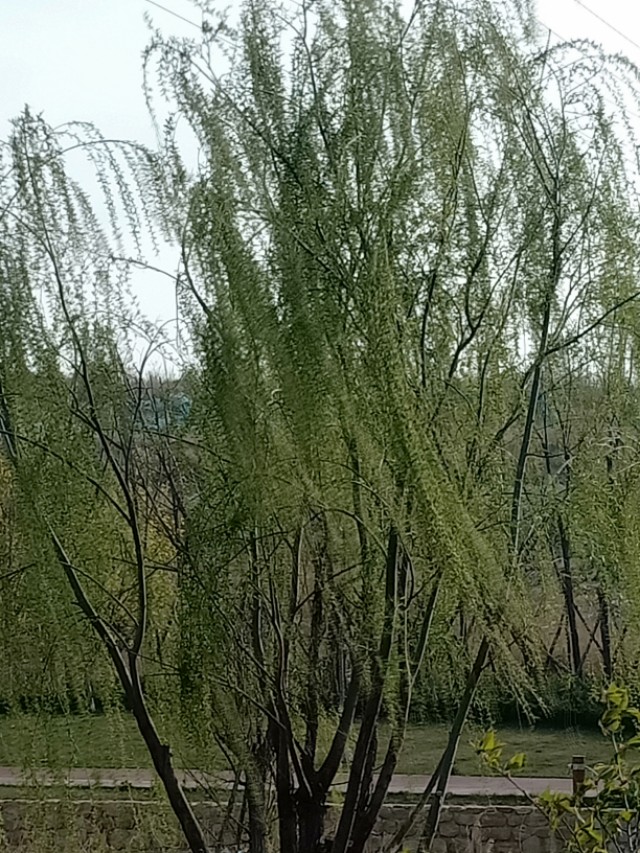 肝癌被称为癌中之王早期不易察觉,肝癌为什么不再是癌中之王