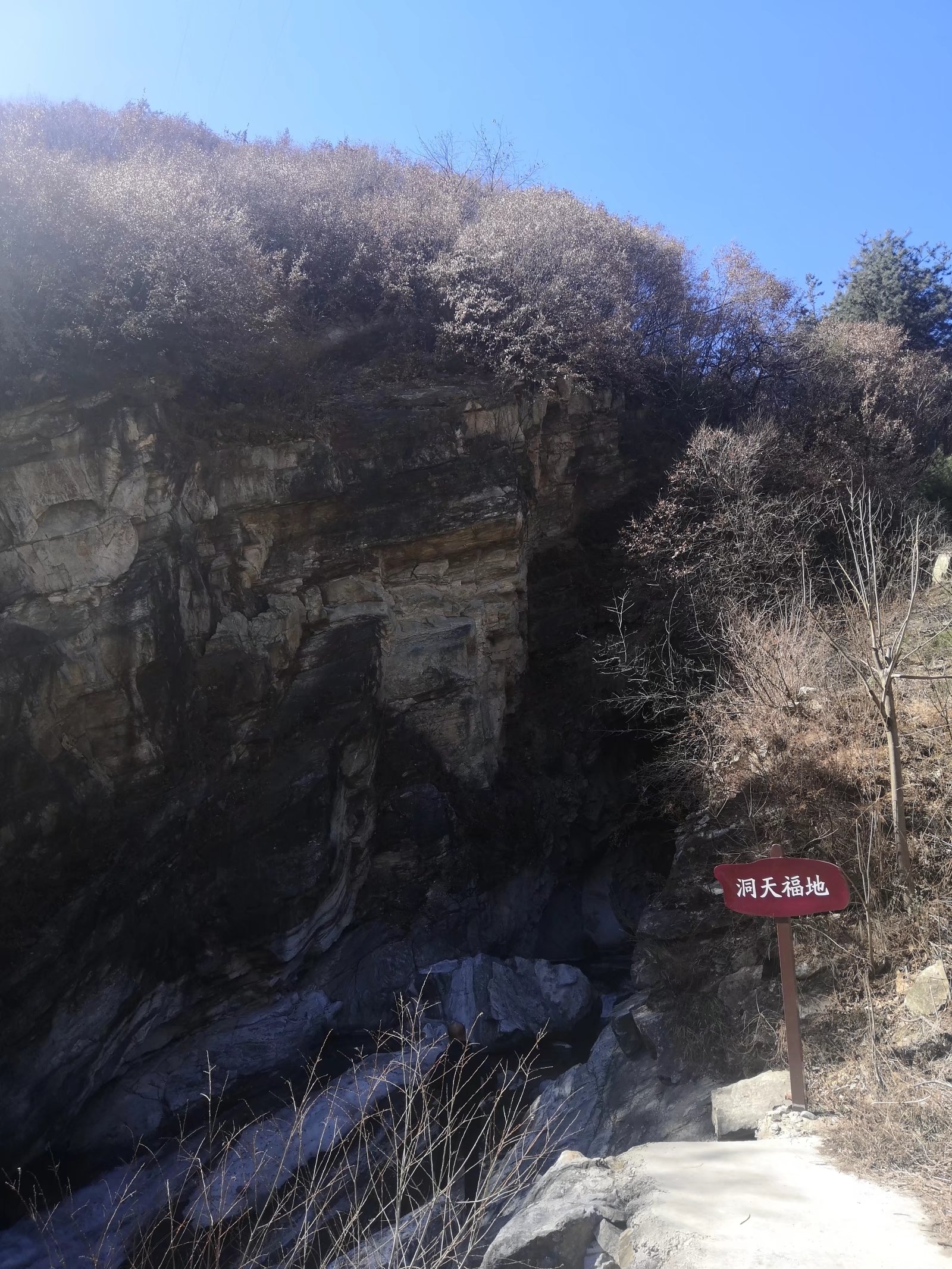 山里面可能捡到的名贵石头,山里哪种地方能捡到有价值的石头