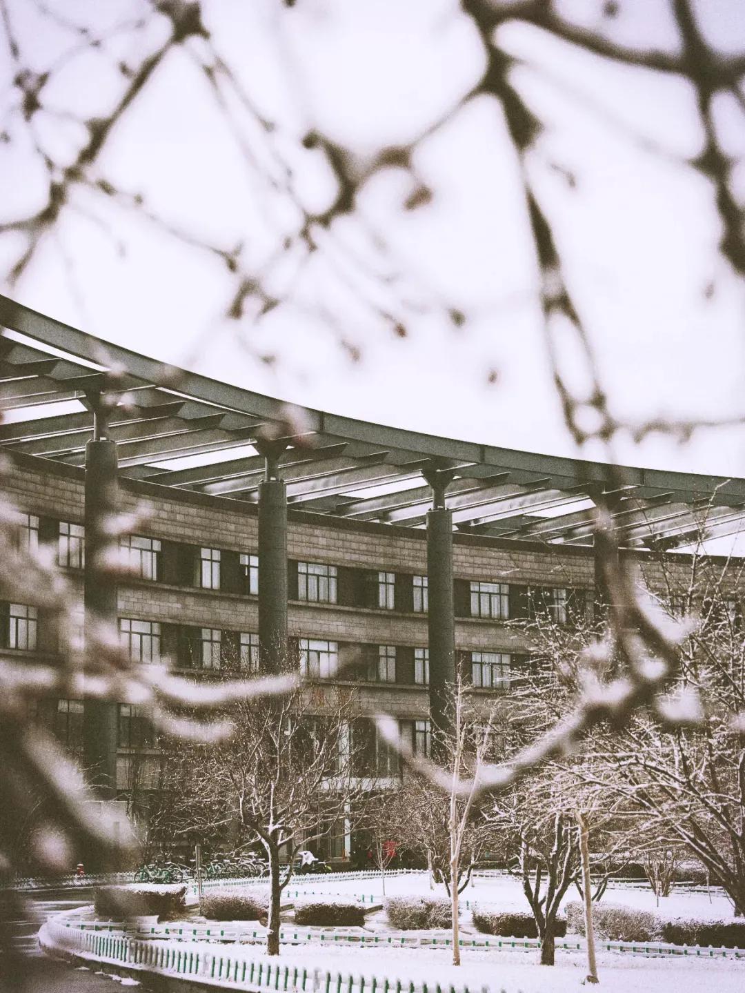 天津公办3+2本科学校有哪些,天津市专升本天津师范大学