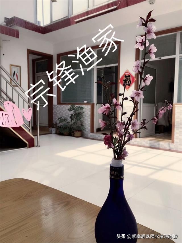 日照直播,日照索隆