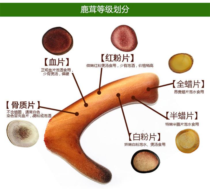 如何挑选购买鹿茸片,鹿茸片怎么挑选挑大的还是小的好