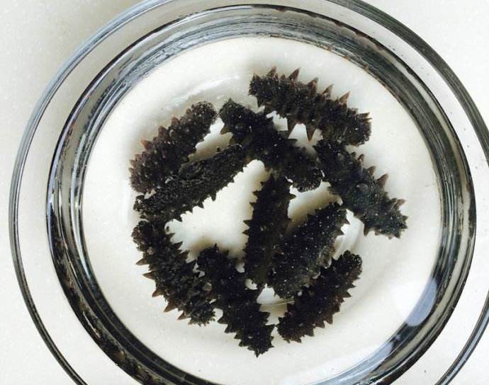 海参别沾油就行,海参不可不知的秘密