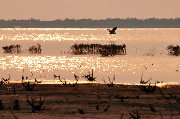 “疫”净花开，摘下口罩的那一天，我在山东等你