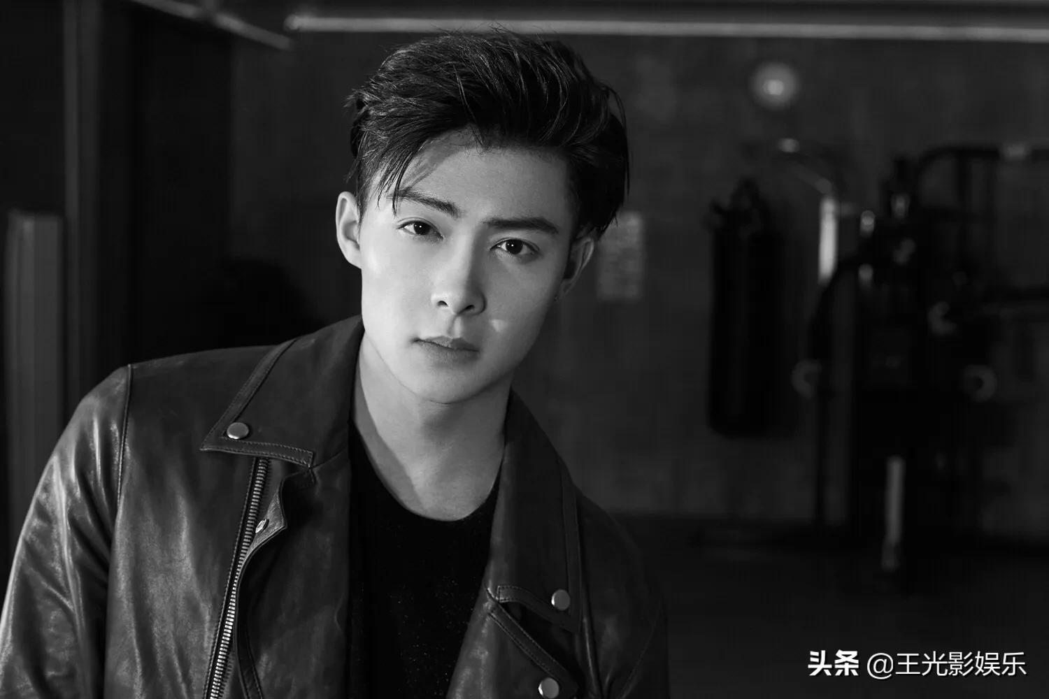 中国十大帅气男明星,黑龙江最帅的10位男明星