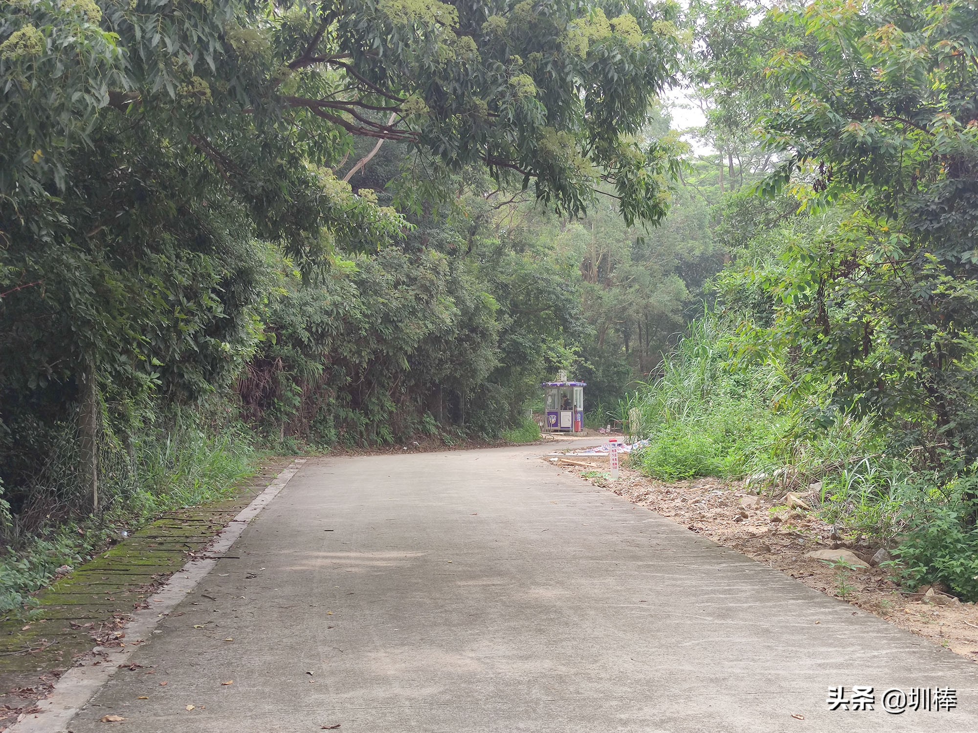 深圳最长的海岸线爬山攻略,凤凰山适合老人孩子的爬山攻略
