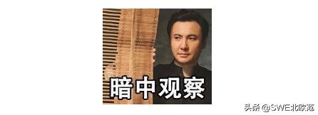 碾压全小区的厨房电器收纳鬼才！年轻人，来见识一下