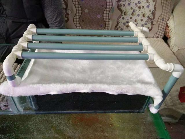 鱼缸一天添加多少次硝化细菌,鱼缸中加入硝化细菌有必要吗