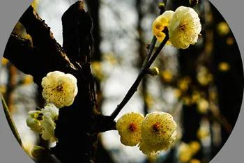 爱上一座城爱上一种心情,爱上一座城需要几个瞬间