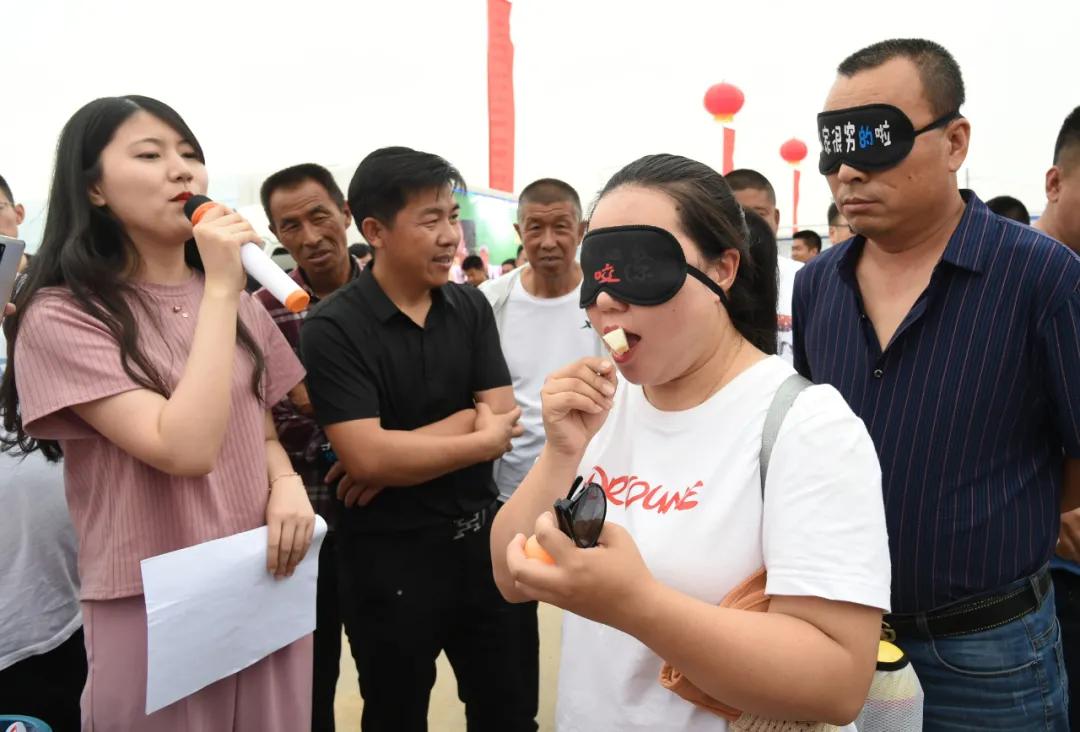 黑柳子白梨脆甜瓜直播,黑柳白梨脆