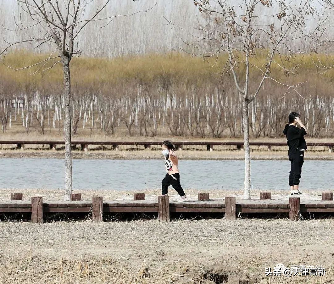 天津即将完工的公园,天津2022年四月开放的公园