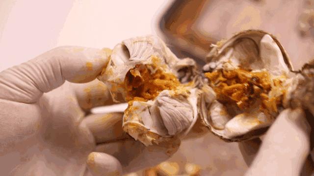 广州最贵的商场进入要不要会员卡,广州最贵的商场全是一线奢侈品