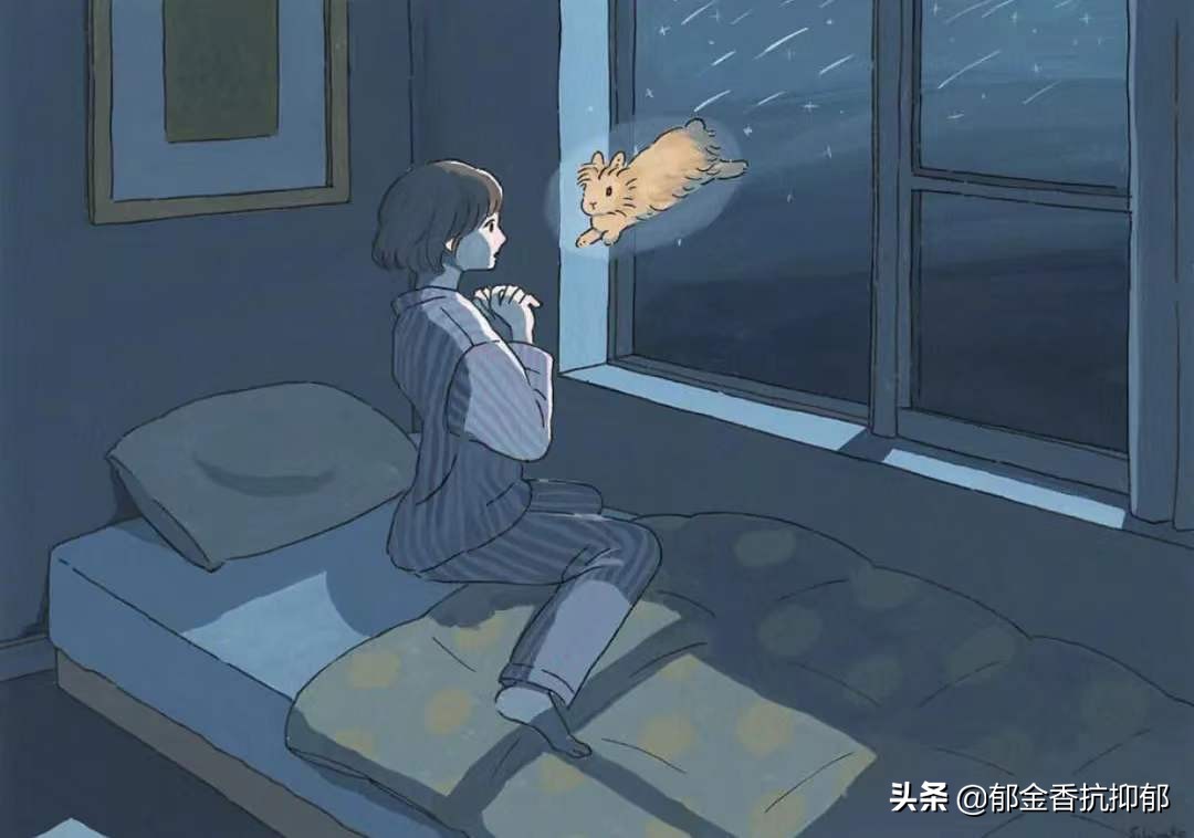 一位精神分裂症患者的日记,双相情感障碍症患者的日记