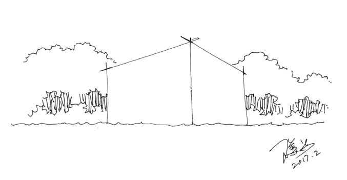 大师级绘画树的画法,树的简单绘画