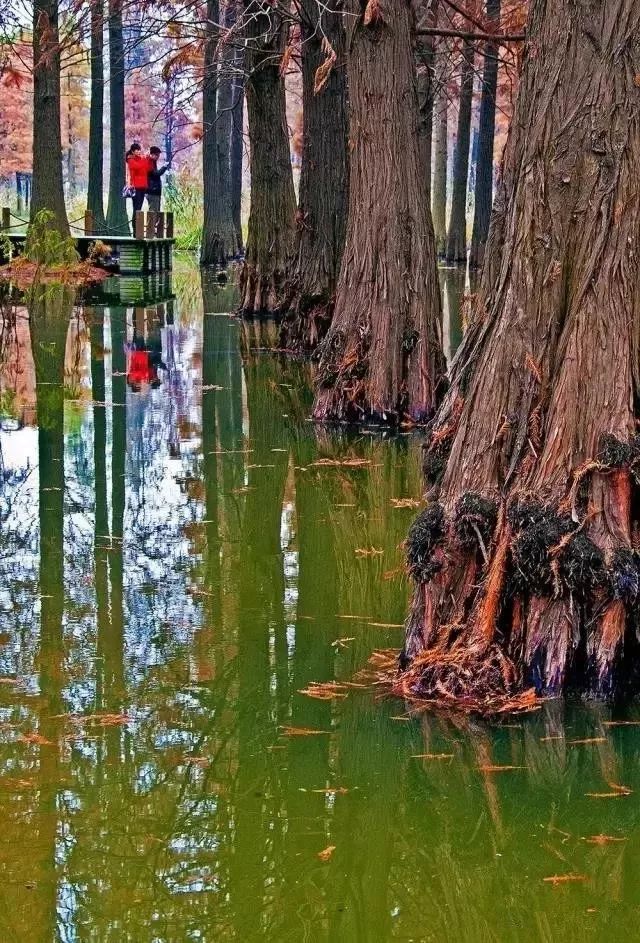 在上海拥有这样一个露台多幸福,在上海有一种温暖叫邻里互助