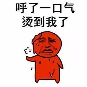 狗狗夏天出门烫伤脚怎么办,夏天狗狗脚会烫伤吗