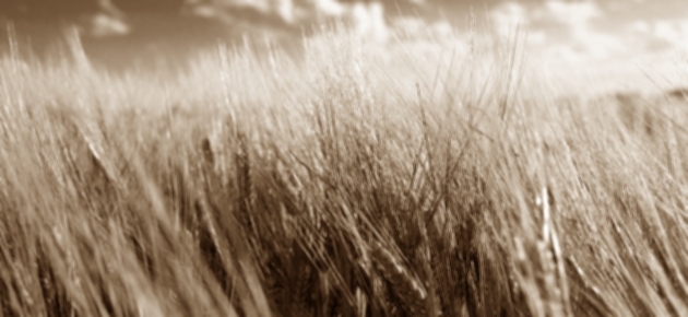 威威知识,威威知识分享