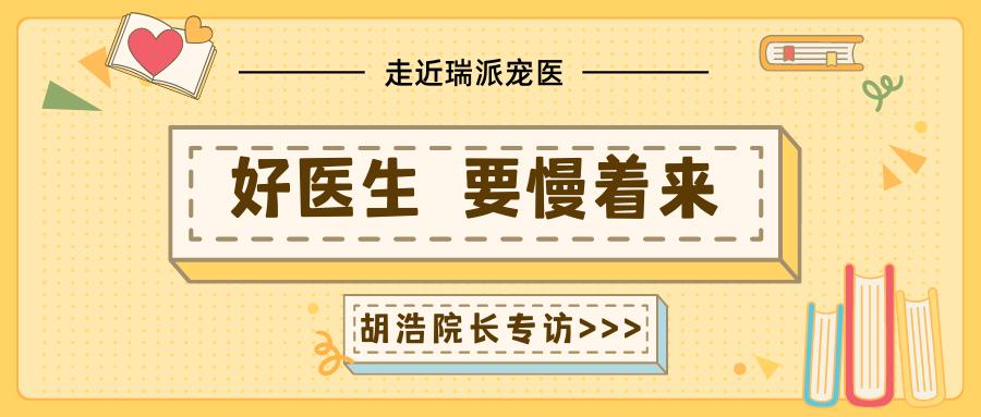 走近瑞派宠医|胡浩院长：好医生要慢着来