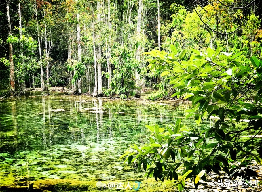 全泰国最大的泳池原来在这里