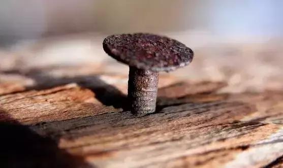 清代大红酸枝作假,福建大红酸枝如何作假