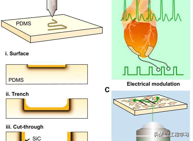 用于生物调制的氮掺杂碳化硅的激光写入
