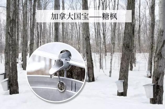 军训后晒黑如何美白,提亮肤色军训防晒