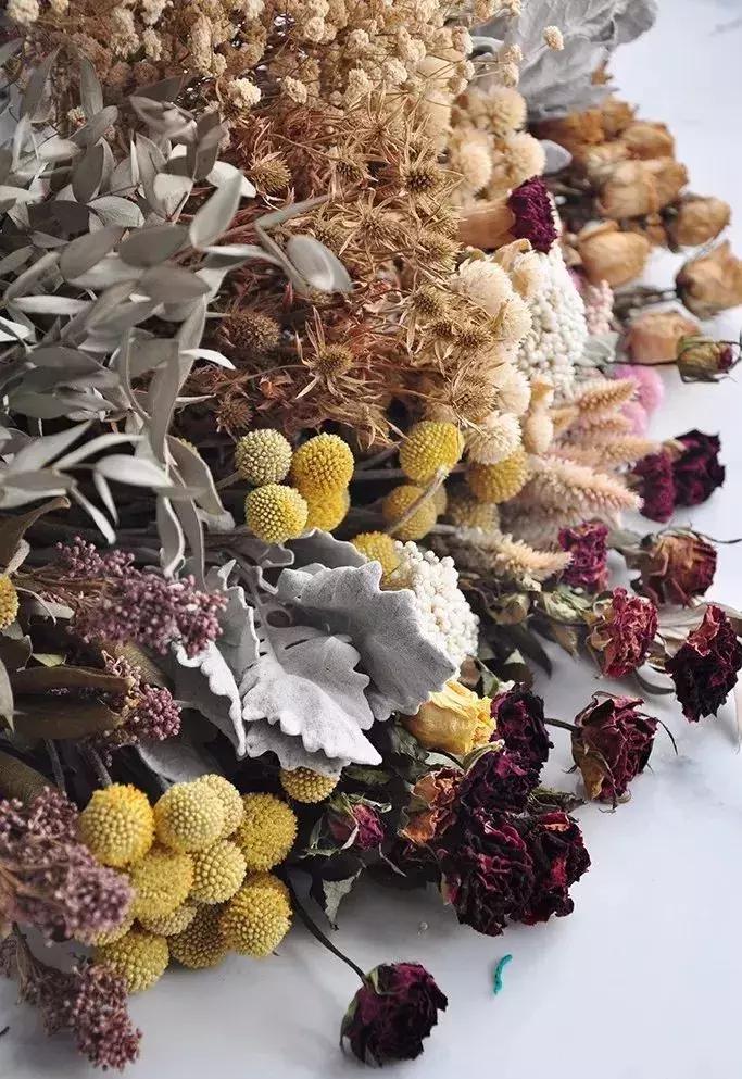 8种能做干花的鲜花,男朋友送的花就这么做