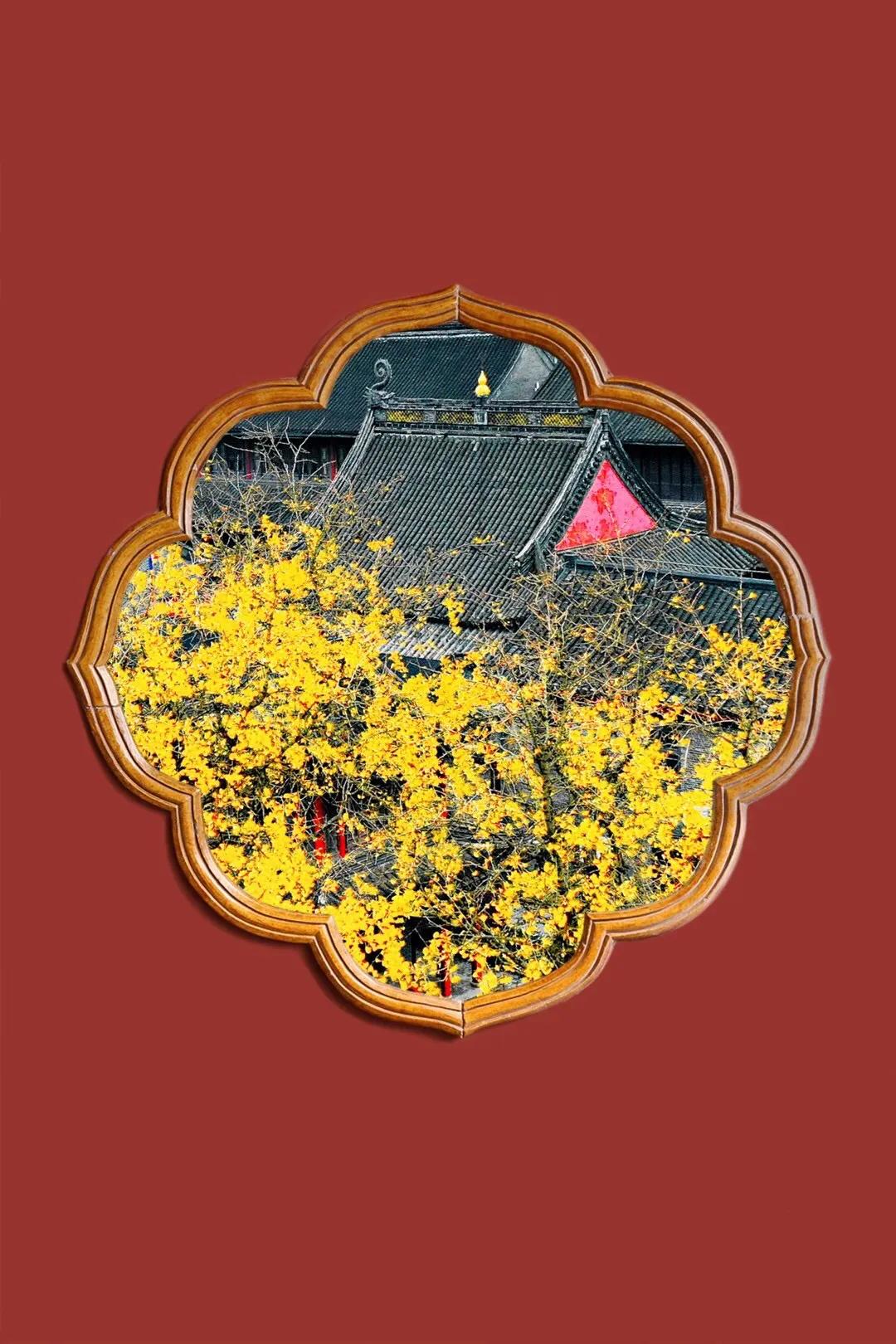 微商为什么会崩盘,微商是一种什么商业模式