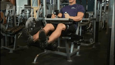 练腿为啥能促睾,为什么练腿可以促睾