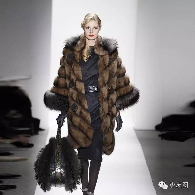 裘中之王野生紫貂,裘中之王是什么意思