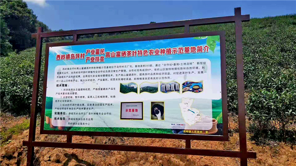 桂林藏在山洞里的油茶店,桂林开在半山腰的油茶店